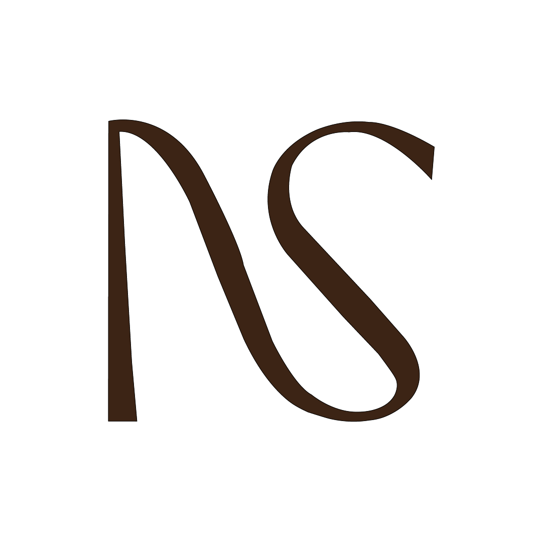 ns logo 01
